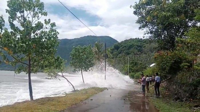 Daun penggemuk ayam di Keo Tengah, Nagekeo