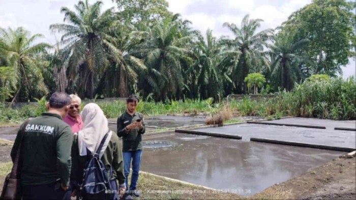 Daging kambing di Sekampung Udik, Lampung Timur