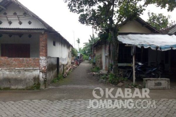Daun penggemuk ayam di Balaesang, Donggala