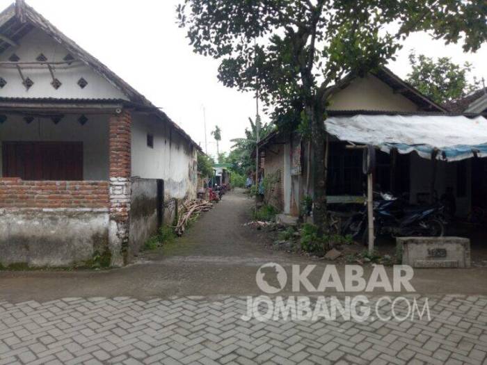 6 Manfaat Daun Untuk Ayam Bangkok | Hobi Orang Sunda Daun penggemuk ayam di Balaesang, Donggala