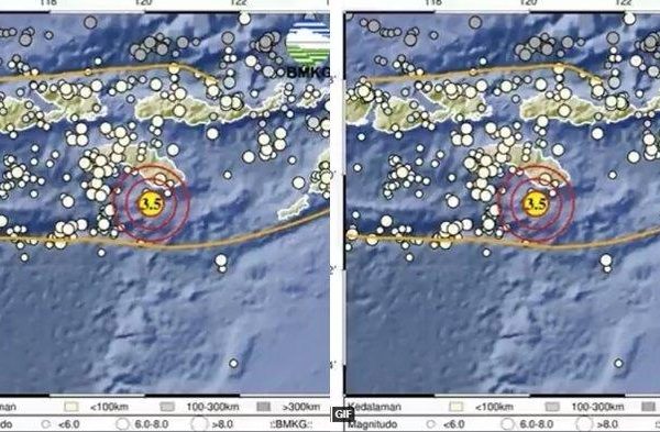 Ternak ayam petelur di Karera, Sumba Timur