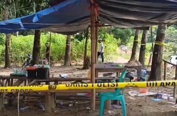 Budidaya ayam di Way Panji, Lampung Selatan