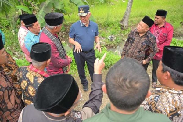 Budidaya ayam di Gunung Talang, Kabupaten Solok