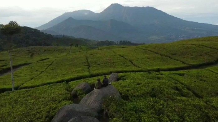 Setelah Diguyur Hujan, Jalan Malingping-Gunung Kencana di Lebak Amblas ...