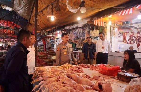 CARA MENINGKATKAN PRODUKSI TELUR AYAM AFKIR - YouTube