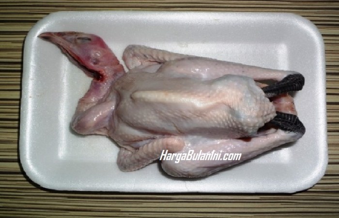 Harga ayam kampung potong di Citeureup, Bogor