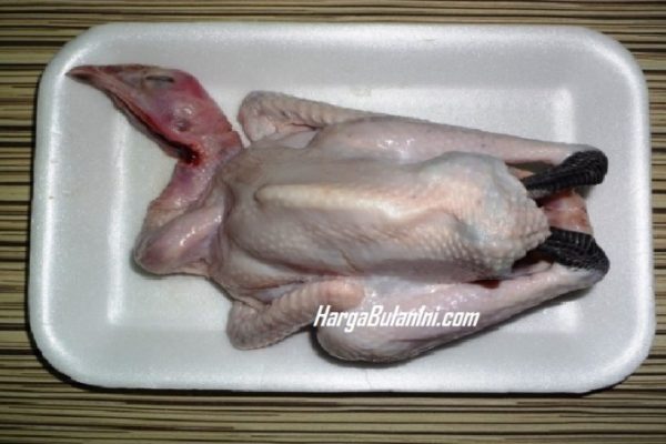 Harga ayam kampung potong di Cipatujah, Tasikmalaya