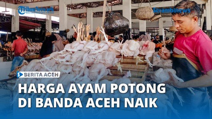 VIDEO - Harga Ayam Potong di Banda Aceh Naik Hingga Rp 70 ribu per Ekor ... Harga ayam kampung potong di Kedamaian, Kota Bandar Lampung