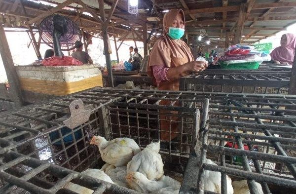 Jual Ayam Kampung Utuh Potong Segar khusus Bandung berat 700 sampai ...