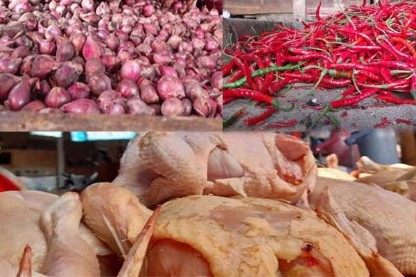 Ayam afkir di Palabuhanratu, Sukabumi