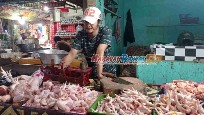 Jelang Lebaran Penjual Ayam Afkir Bermunculan di Belitung, Harga Ayam ... Jelang Lebaran Penjual Ayam Afkir Bermunculan di Belitung, Harga Ayam ...