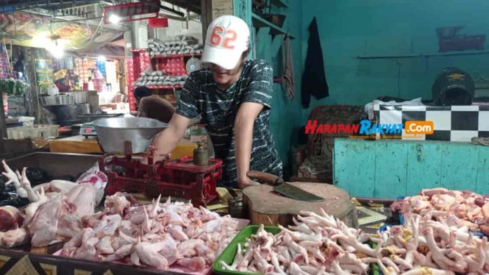 Jelang Lebaran Penjual Ayam Afkir Bermunculan di Belitung, Harga Ayam ... Jelang Lebaran Penjual Ayam Afkir Bermunculan di Belitung, Harga Ayam ...