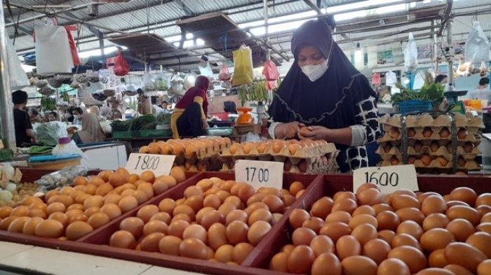 Ayam layer di Muara Sabak Timur, Kabupaten Tanjung Jabung Timur