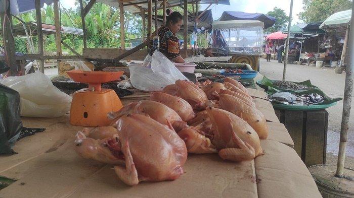 Waduh, harga ayam potong di Sukabumi anjlok di bawah Rp10.000/kg ... Waduh, harga ayam potong di Sukabumi anjlok di bawah Rp10.000/kg ...