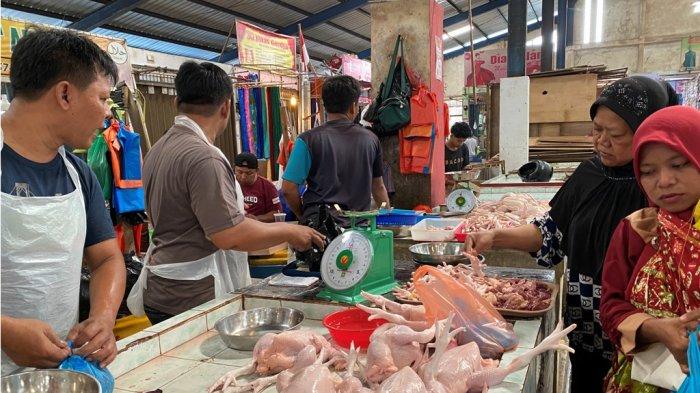 Bisnis Gemukin Anak Ayam di Tangerang Ini Raup Omzet Jutaan Lho Daun penggemuk ayam di Pinang, Kab. Tangerang