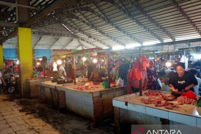 Harga daging ayam broiler di Jambi naik Rp5.000 per kilogram - ANTARA ... Harga daging ayam broiler di Jambi naik Rp5.000 per kilogram - ANTARA ...