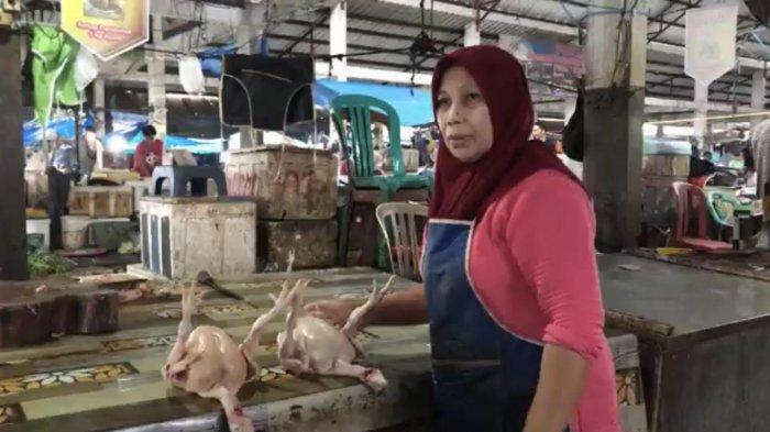 Daun penggemuk ayam di Sendana, Kota Palopo