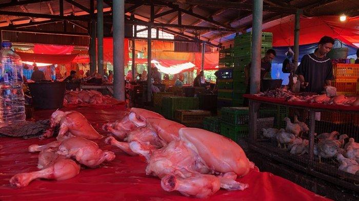 Ternak Ayam Kampung - Eksotika Desa Ternak Ayam Kampung - Eksotika Desa