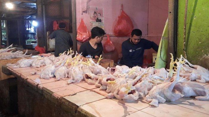 Harga Ayam Merah | Ayam Petelur Afkir di Pasar Tradisional Gotong ... Harga Ayam Merah | Ayam Petelur Afkir di Pasar Tradisional Gotong ...