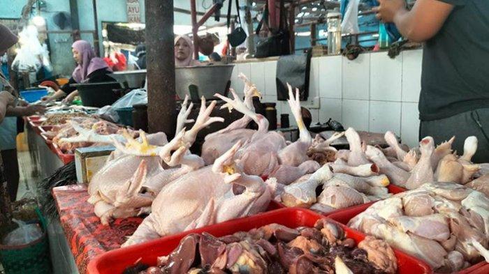 Harga Ayam Potong di Pasar Topoyo Mamuju Tengah Naik Jelang Idul Adha ... Harga Ayam Potong di Pasar Topoyo Mamuju Tengah Naik Jelang Idul Adha ...