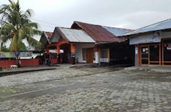 Daun penggemuk ayam di Waropen Bawah, Kab. Waropen