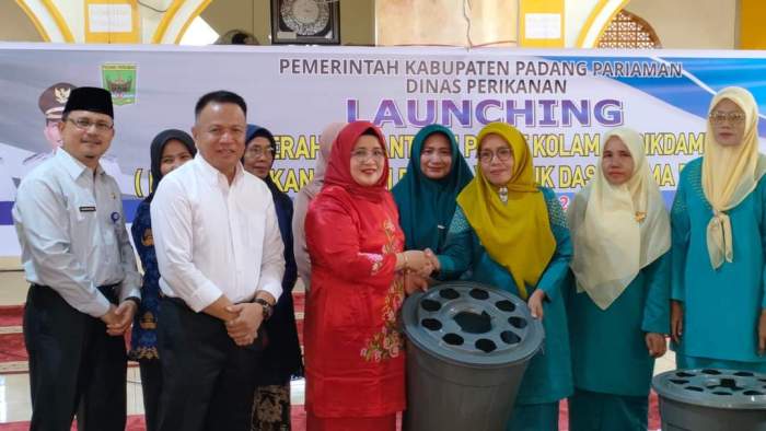 Map City of VII Koto Sungai Sariak, World Map Country of Indonesia ... Budidaya ayam di VII Koto Sungai Sarik, Kabupaten Padang Pariaman