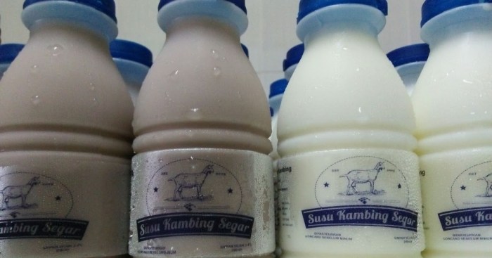 Kaya Nutrisi, 3 Susu Kambing Etawa Ini Bisa Jadi Rekomendasi Susu kambing di Kedung Banteng, Banyumas
