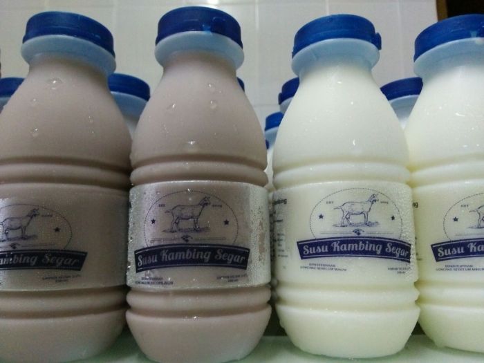 JUAL SUSU KAMBING DI BANDUNG | HUB 081210700621 Susu kambing di Semarang Timur, Kota Semarang