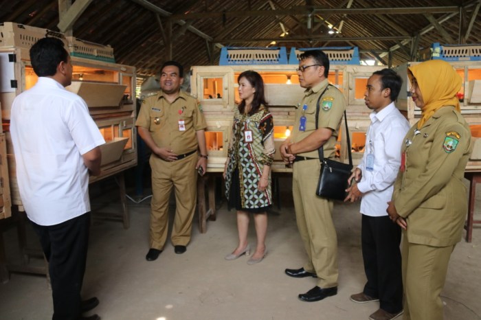 Ayam ternak di Jiken, Blora