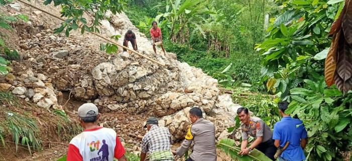 Perjalanan Manggung ke Balepe Tana Toraja - YouTube Daun penggemuk ayam di Malimbong Balepe, Tana Toraja