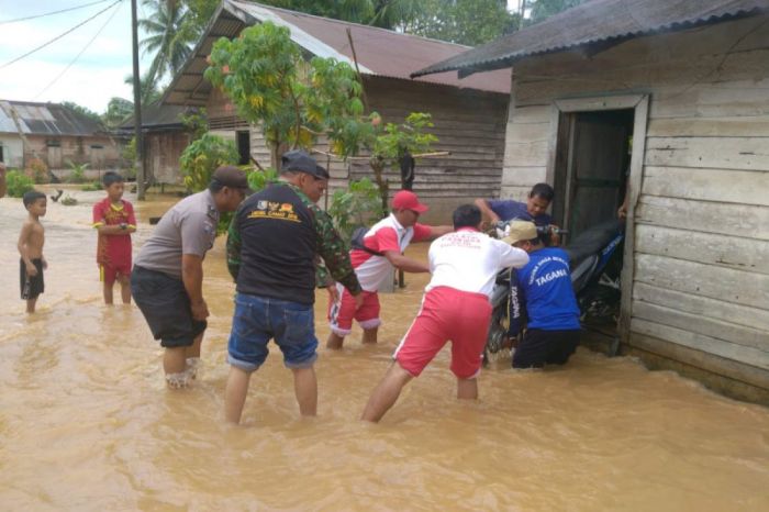 Banjir Kiriman dari Jawa, Harga Telur Lokal Pangkalan Bun Anjlok ... Banjir Kiriman dari Jawa, Harga Telur Lokal Pangkalan Bun Anjlok ...