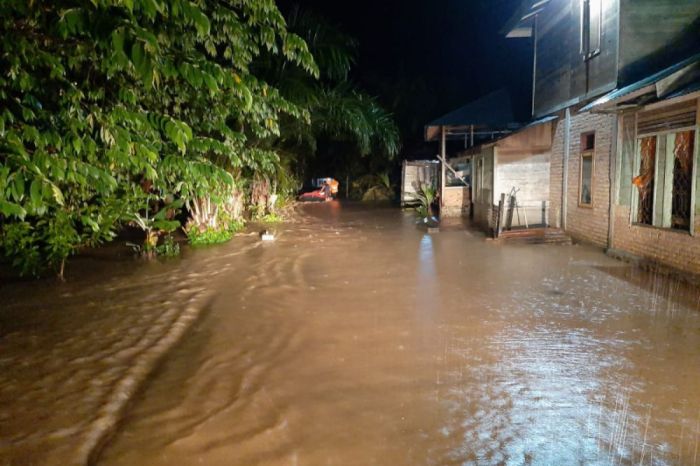 Ratusan rumah terendam banjir di Ranah Batahan Pasaman Barat - ANTARA News Budidaya ayam di Ranah Batahan, Kabupaten Pasaman Barat