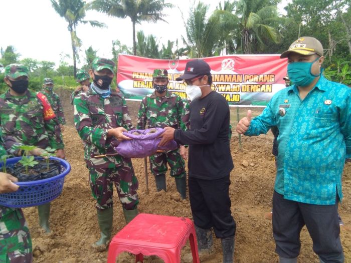 Daun penggemuk ayam di Takkalalla, Wajo