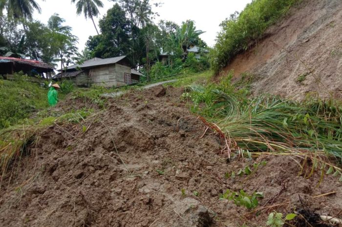 Budidaya ayam di Sungai Geringging, Kabupaten Padang Pariaman