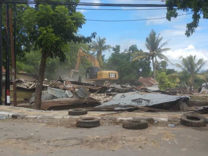Daun penggemuk ayam di Oebobo, Kota Kupang