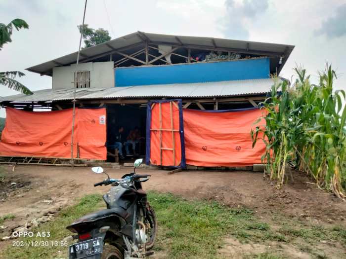 BUKAN KALENG KALENG‼️ INGIN AYAM CEPAT BESAR DAN GEMUK INI PAKAN ... BUKAN KALENG KALENG‼️ INGIN AYAM CEPAT BESAR DAN GEMUK INI PAKAN ...