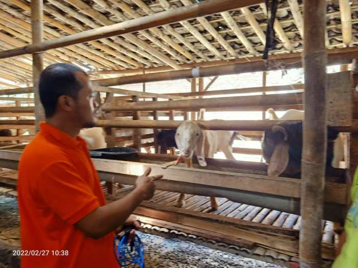 Budidaya ternak ayam di Juwiring, Klaten