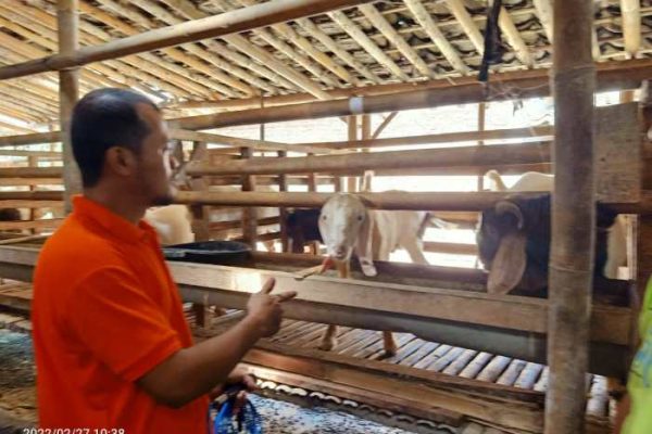 50 Petani Muda Klaten Berlatih Budidaya Kambing – Pemerintah Provinsi ...