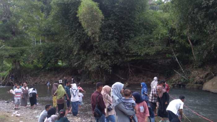 Ternak ayam kampung - Video Dailymotion