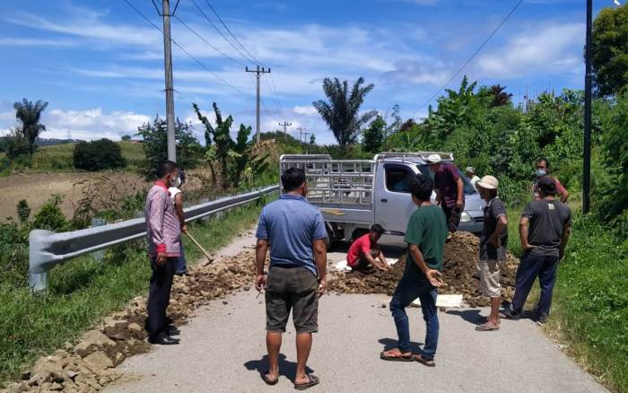 Camat Dolok Pardamean Pimpim Kegiatan Haroan Bolon di Nagori Sibuntuon ... Ayam Ternak di Dolok Pardamean, Simalungun