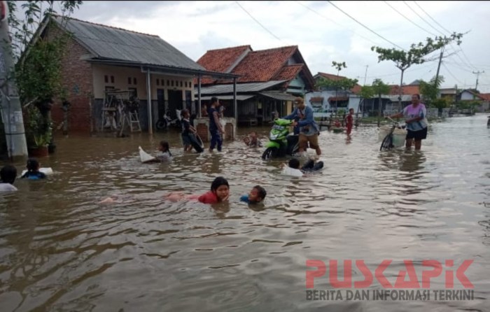 Pemerahan Susu kambing fresh - YouTube Susu kambing di Ulujami, Pemalang