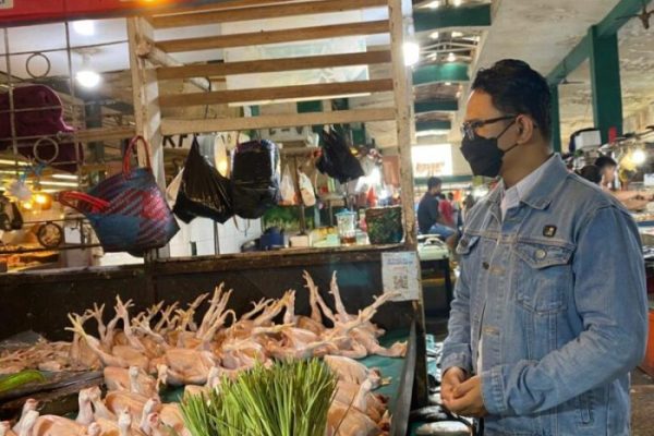 Daun penggemuk ayam di Balikpapan Barat, Kota Balikpapan