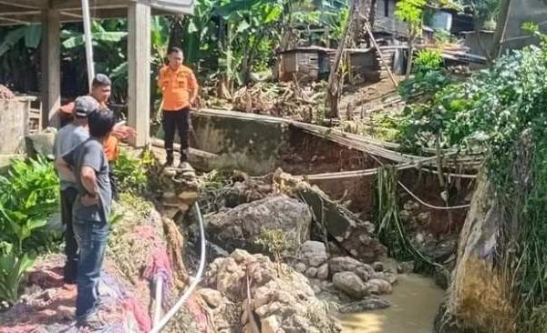 Daun penggemuk ayam di Anggeraja, Enrekang