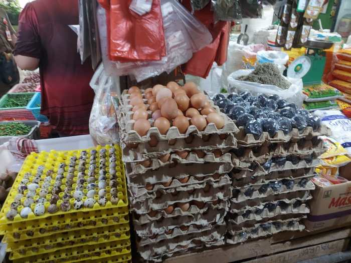 Em4 peternakan ayam di Jemaja, Kepulauan Anambas