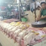 Harga ayam kampung potong di Cikelet, Garut