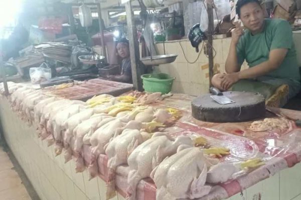 Harga Ayam Potong Rp 35 Ribu per kilogram - Dimensinews.id