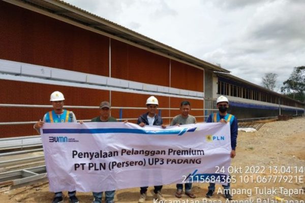 Ayam ternak di Lunang, Kabupaten Pesisir Selatan