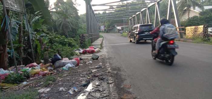 Daun penggemuk ayam di Cisata, Kab. Pandeglang