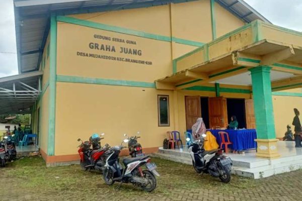 Daun penggemuk ayam di Brang Ene, Sumbawa Barat