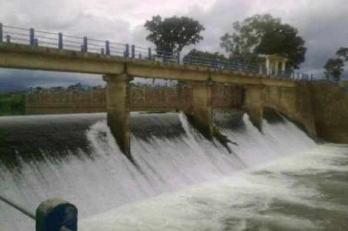 Basic Knowledge Poultry - ppt download Ayam layer di Renah Pembarap, Kabupaten Merangin